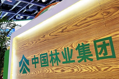 中林集團子公司商票逾期風(fēng)波加劇，原董事長遭起訴，旅游業(yè)務(wù)何去何從？