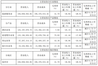 疫情沖擊下的九華旅游 2020年營收銳減，旅游服務業面臨嚴峻挑戰